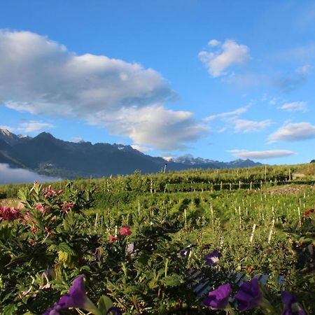 La Vita In Campagna Villa di Tirano Kültér fotó