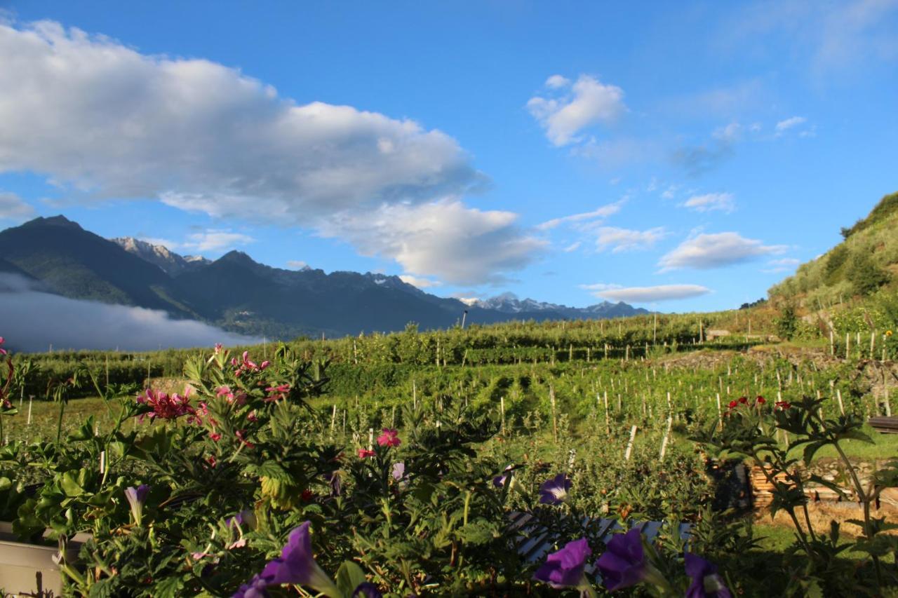 La Vita In Campagna Villa di Tirano Kültér fotó