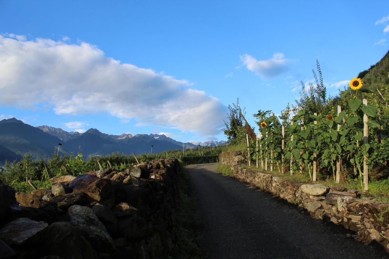 La Vita In Campagna Villa di Tirano Kültér fotó