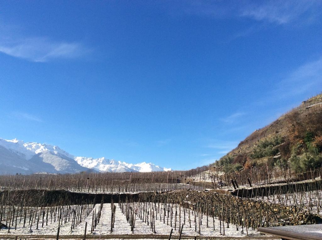 La Vita In Campagna Villa di Tirano Kültér fotó
