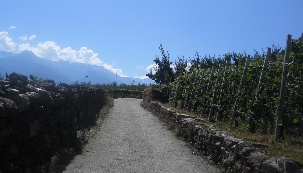 La Vita In Campagna Villa di Tirano Kültér fotó
